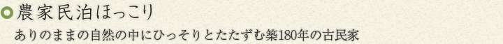 農家民泊ほっこり