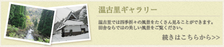 四季が織りなす温古里の美しい景色をご堪能ください