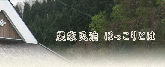 農家民泊 ほっこりとは
