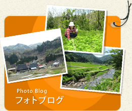 フォトブログ
